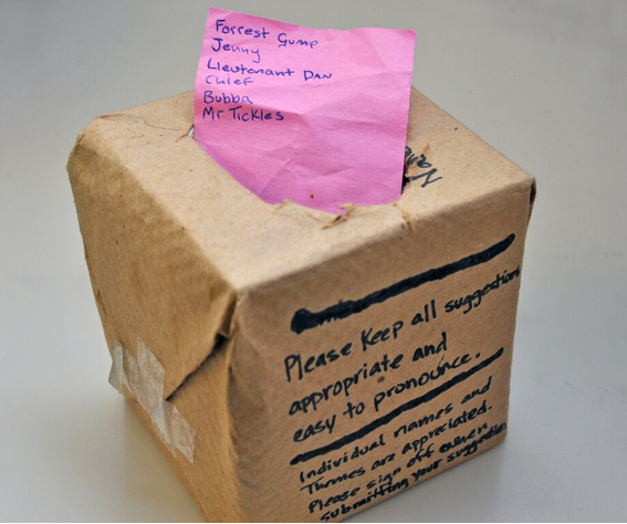 tip-of-the-week-make-a-suggestion-box-for-animal-names-aspcapro